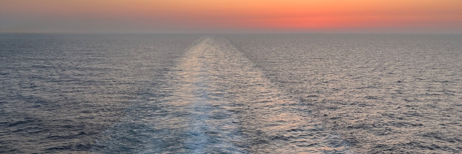 なみ ✈️🚢 | 社畜から旅暮らしへ banner