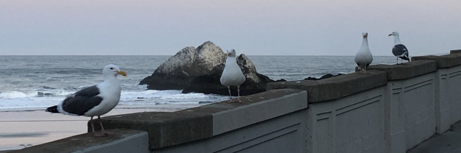 samsheldon's profile banner image
