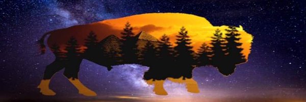 Blue_adept Profile Banner