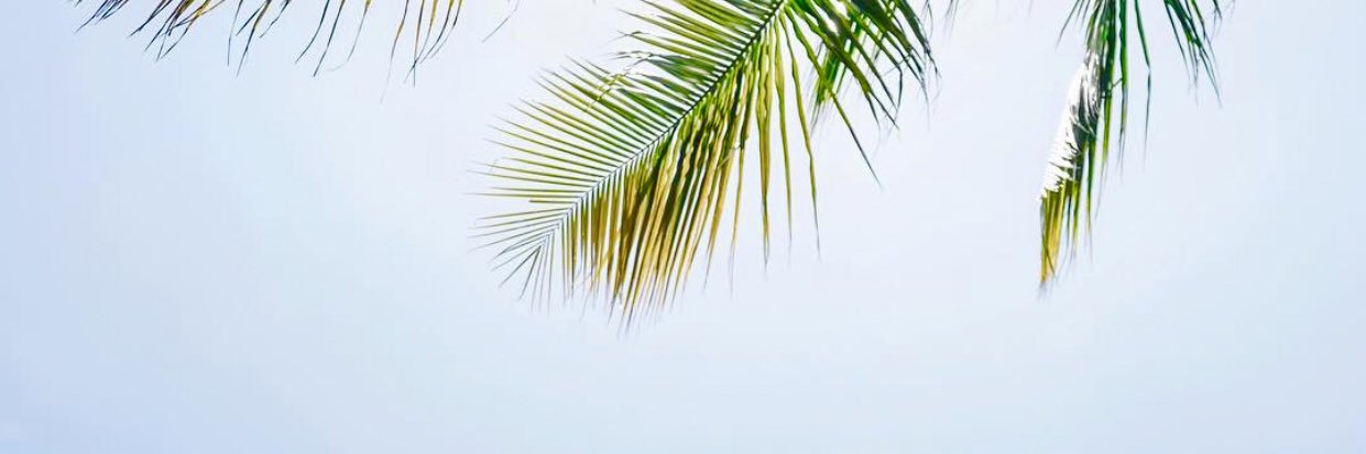 viniveiroli's profile banner image