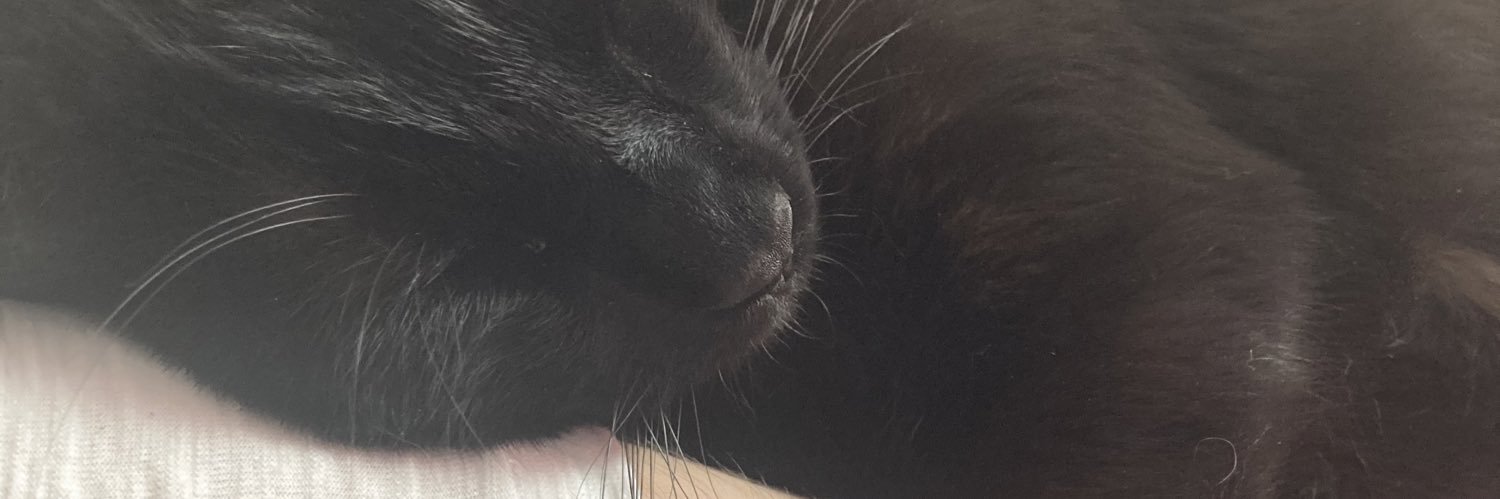 conkboi's profile banner image