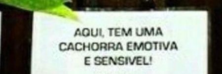 zeca pagodinha banner