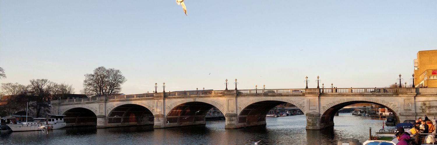 Ivan Zupic banner