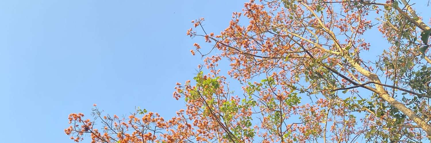 rinapurnamaa's profile banner image