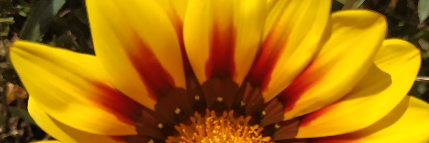 m_ballesteros5's profile banner image