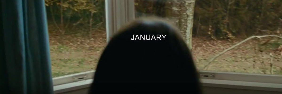 maevis schmaegis banner