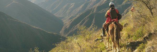 ProyectoMara Profile Banner
