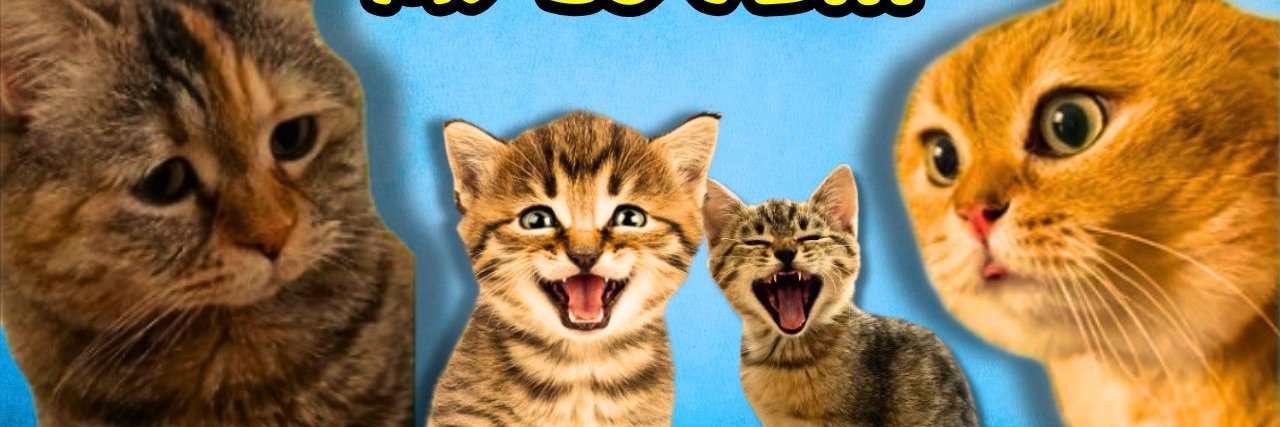 Thecatsempire's profile banner image