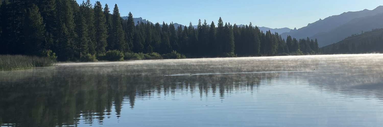 loreleikomm's profile banner image