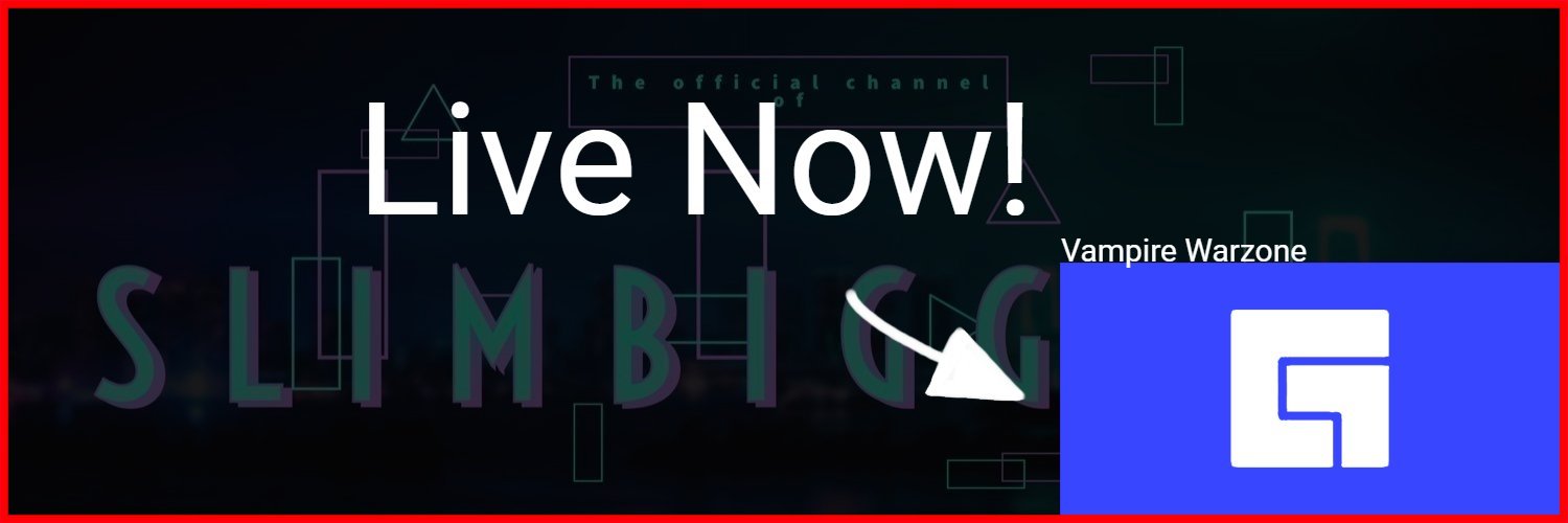 slimbigginz's profile banner image