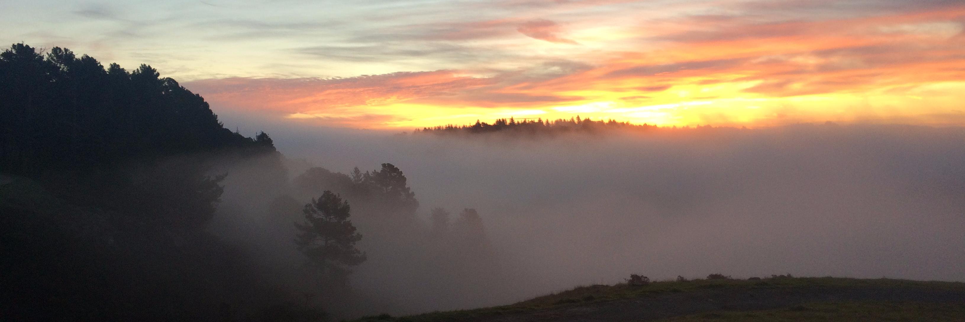 Turnpike Digital banner