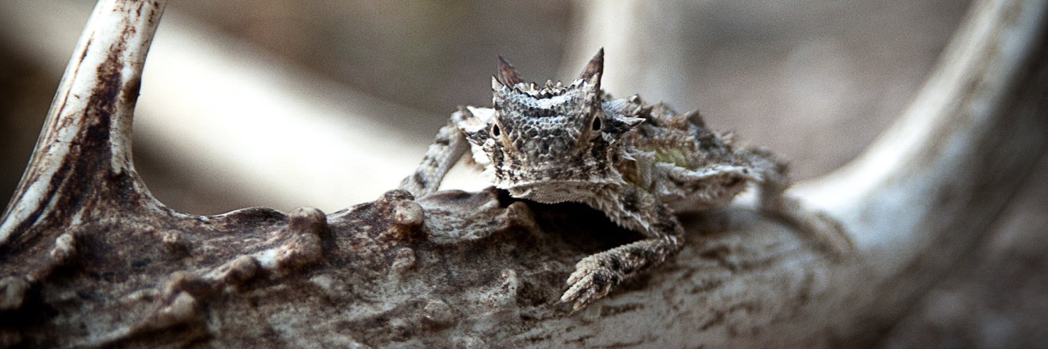 Texas Parks & Wildlife banner