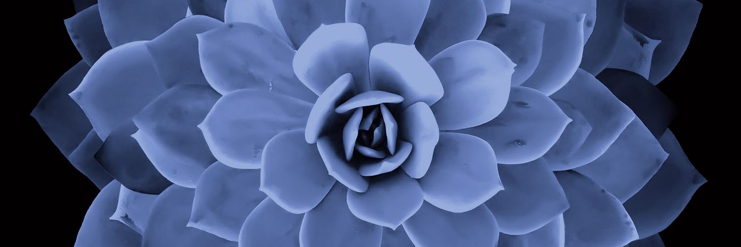 charlorobles's profile banner image