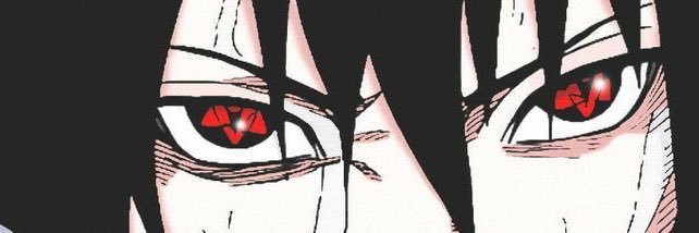 nikko banner
