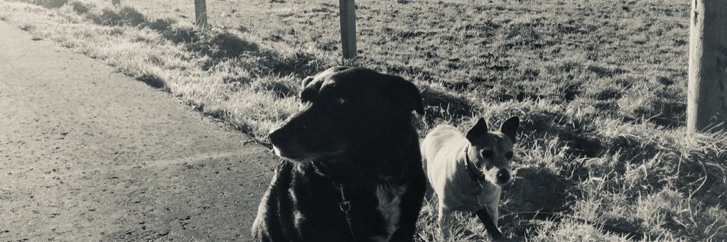 jkphearce's profile banner image