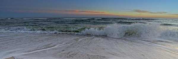 Scoret Profile Banner