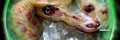 GabreilDim38243's profile banner image