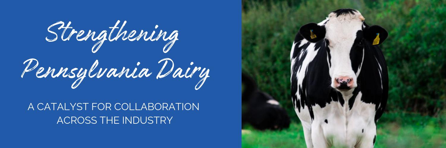 Center For Dairy Excellence banner