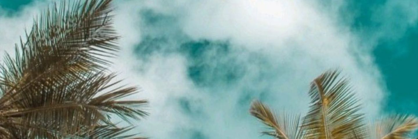 CansnTurbay's profile banner image