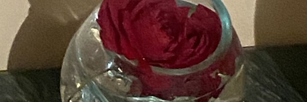 patralekha2011 Profile Banner