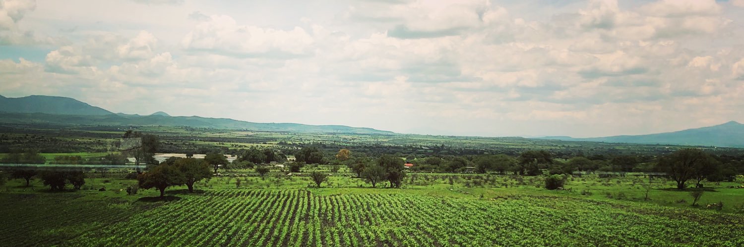 elvamza's profile banner image