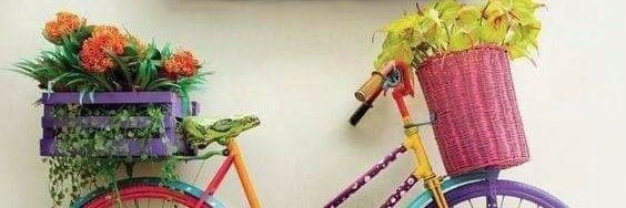 Mayte banner