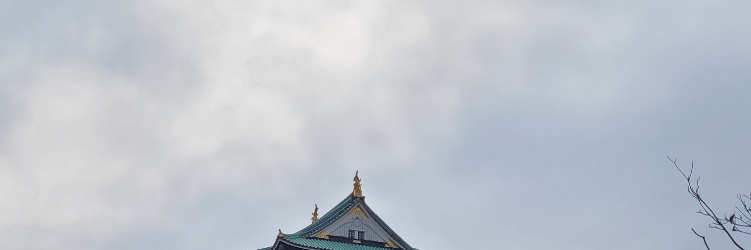 hiruru__'s profile banner image