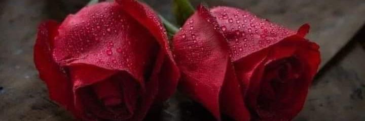 SaR72327's profile banner image