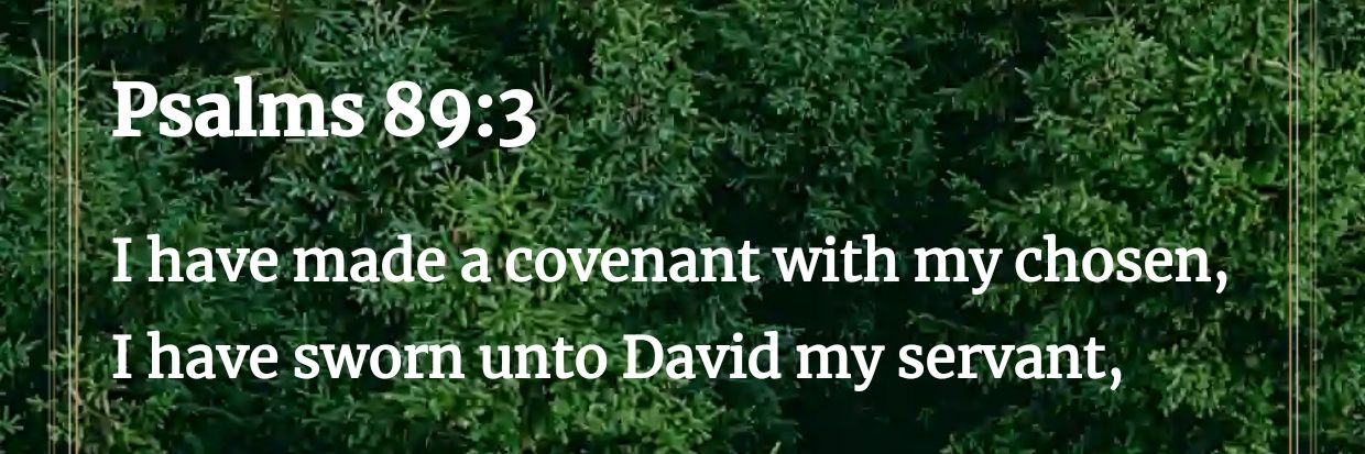 David 🍀's banner