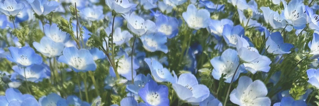 りり☺︎初マタ30w🧸 banner