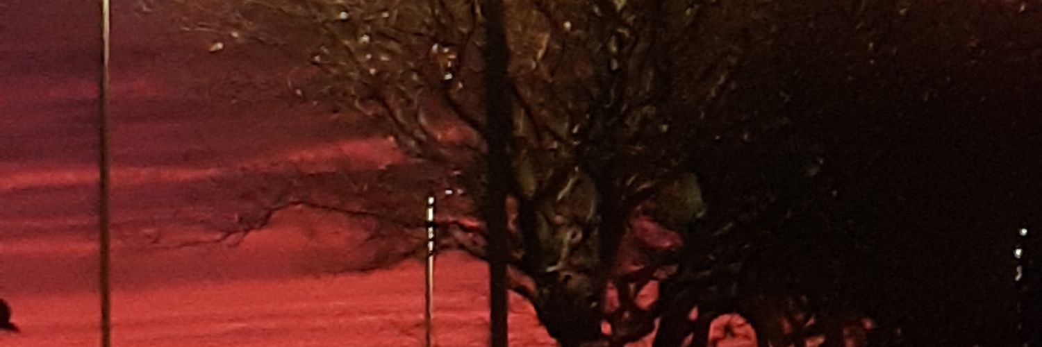 Steven Elliott banner