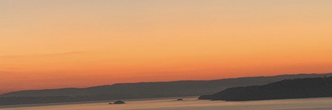 andreariveiro__'s profile banner image