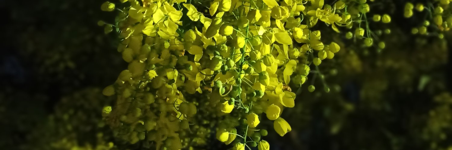 jijithb's profile banner image