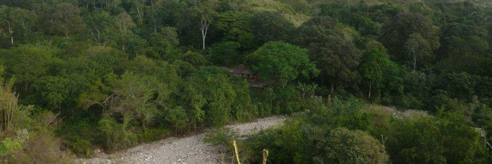 Cornelia Helmcke banner