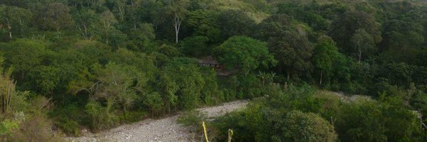 ConnyCastanea Profile Banner