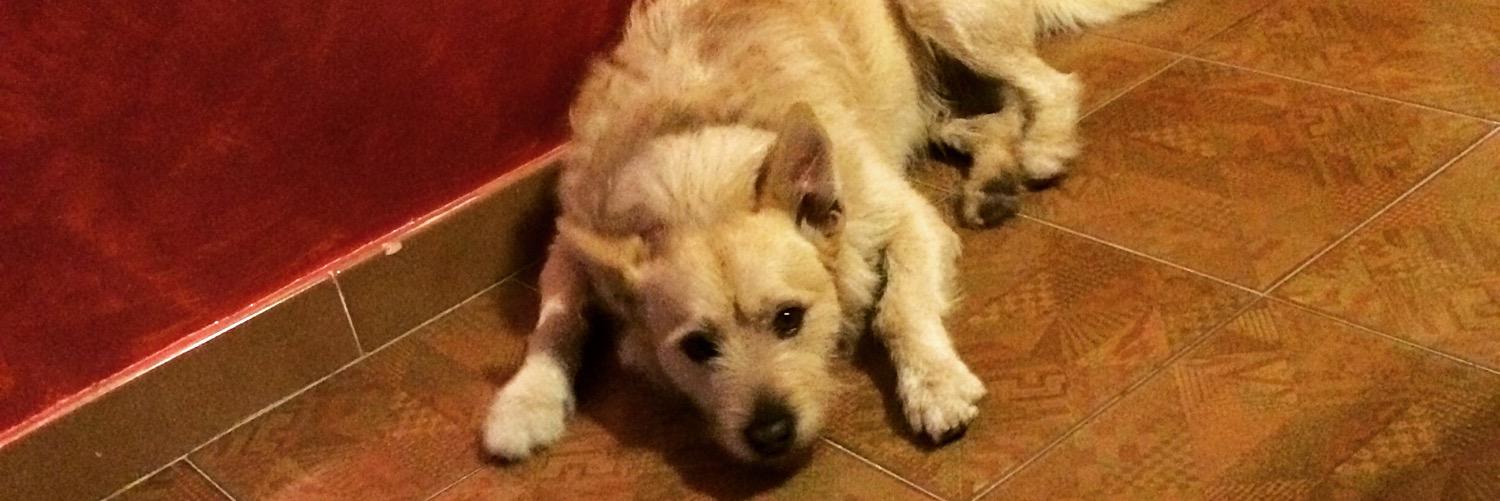 gambarde79's profile banner image