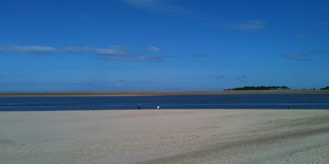 Lisa Reynolds banner