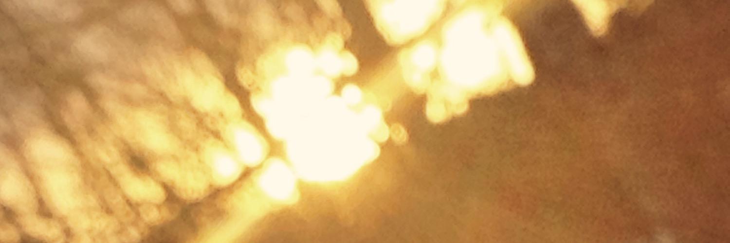 MrsVCampbell's profile banner image
