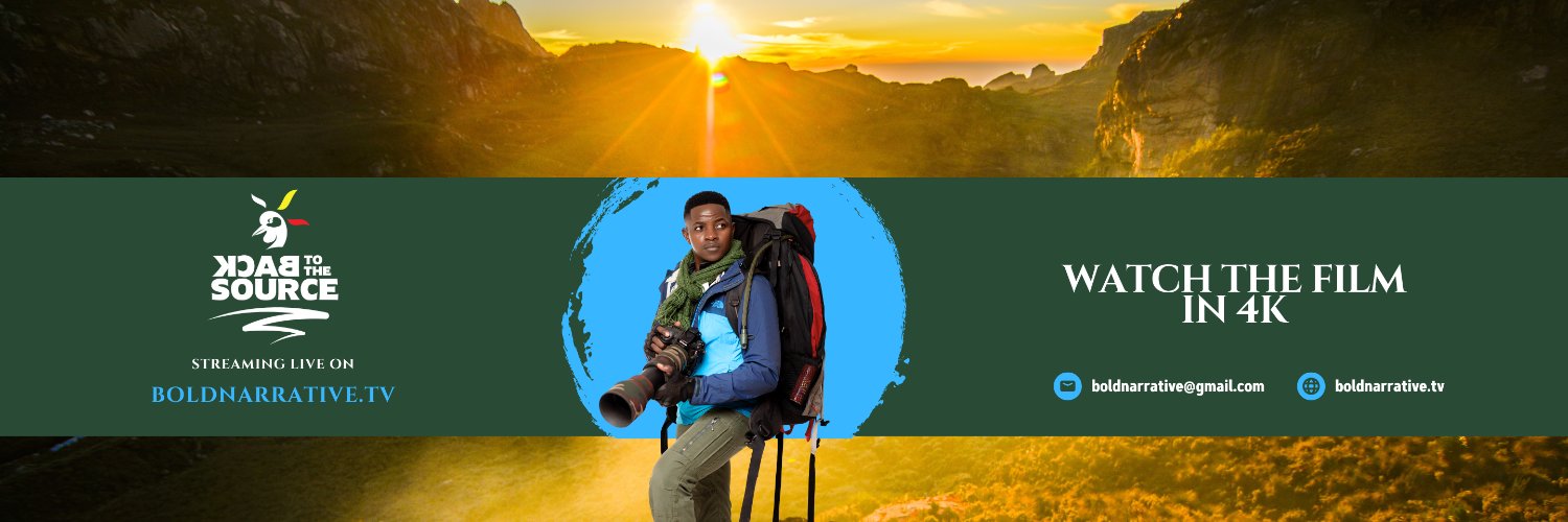BOLD NARRATIVE banner
