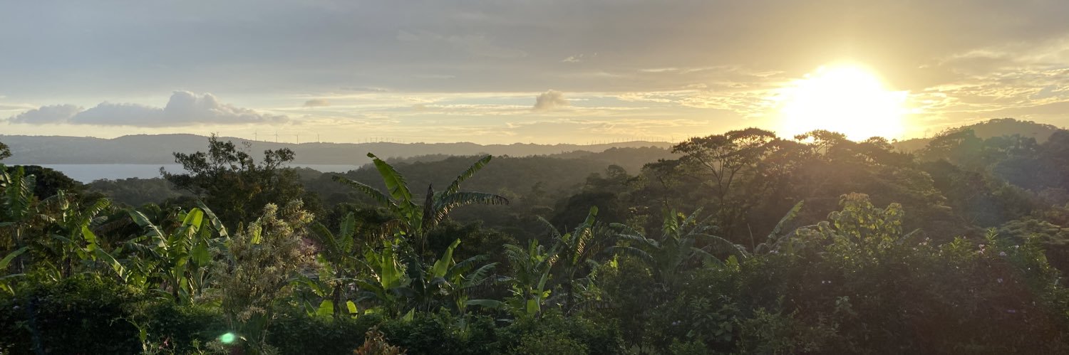 Sarah Dewberry banner