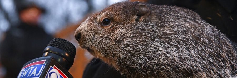 je ne sais quoi banner