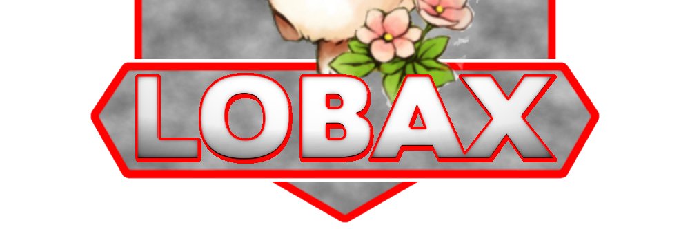 l0baaX's profile banner image