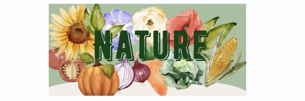 deepointnature Profile Banner