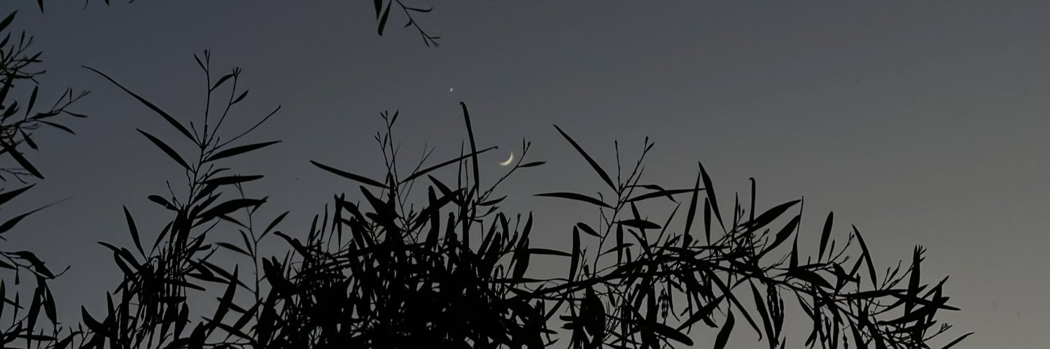 ItzarzoO's profile banner image
