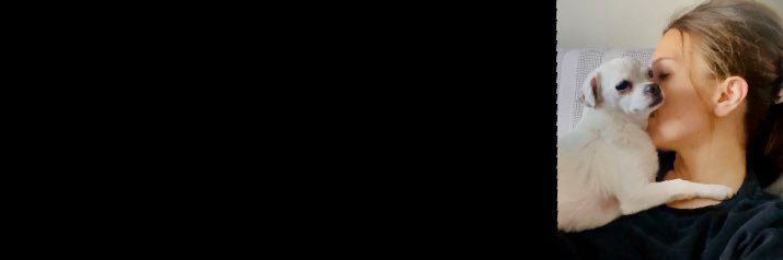 bgmnv_'s profile banner image