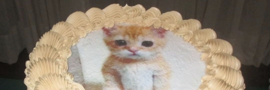 cordeirinhoooi's profile banner image