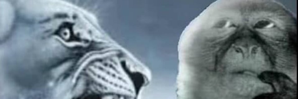 yovanir19's profile banner image