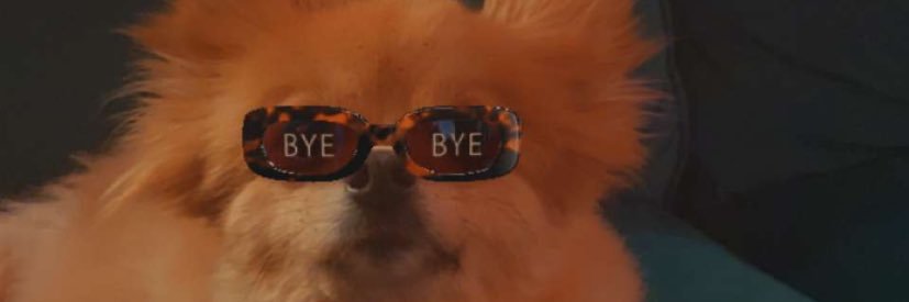 whitesam99's profile banner image