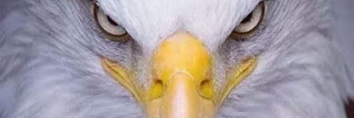 ccmcordeiro's profile banner image