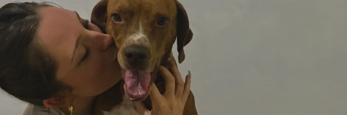 _valenalarcon's profile banner image